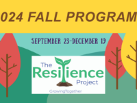 Fall 2024 programming resilience project THUMBNAIL